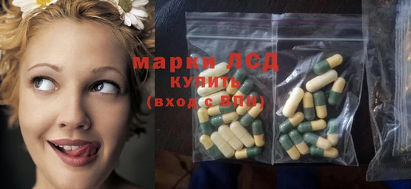 прущий лед Алзамай