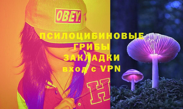 прущий лед Алзамай