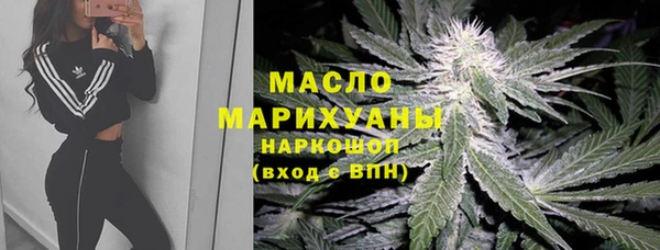 прущий лед Алзамай